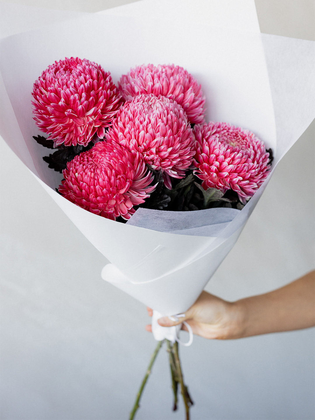 Mums Bunch