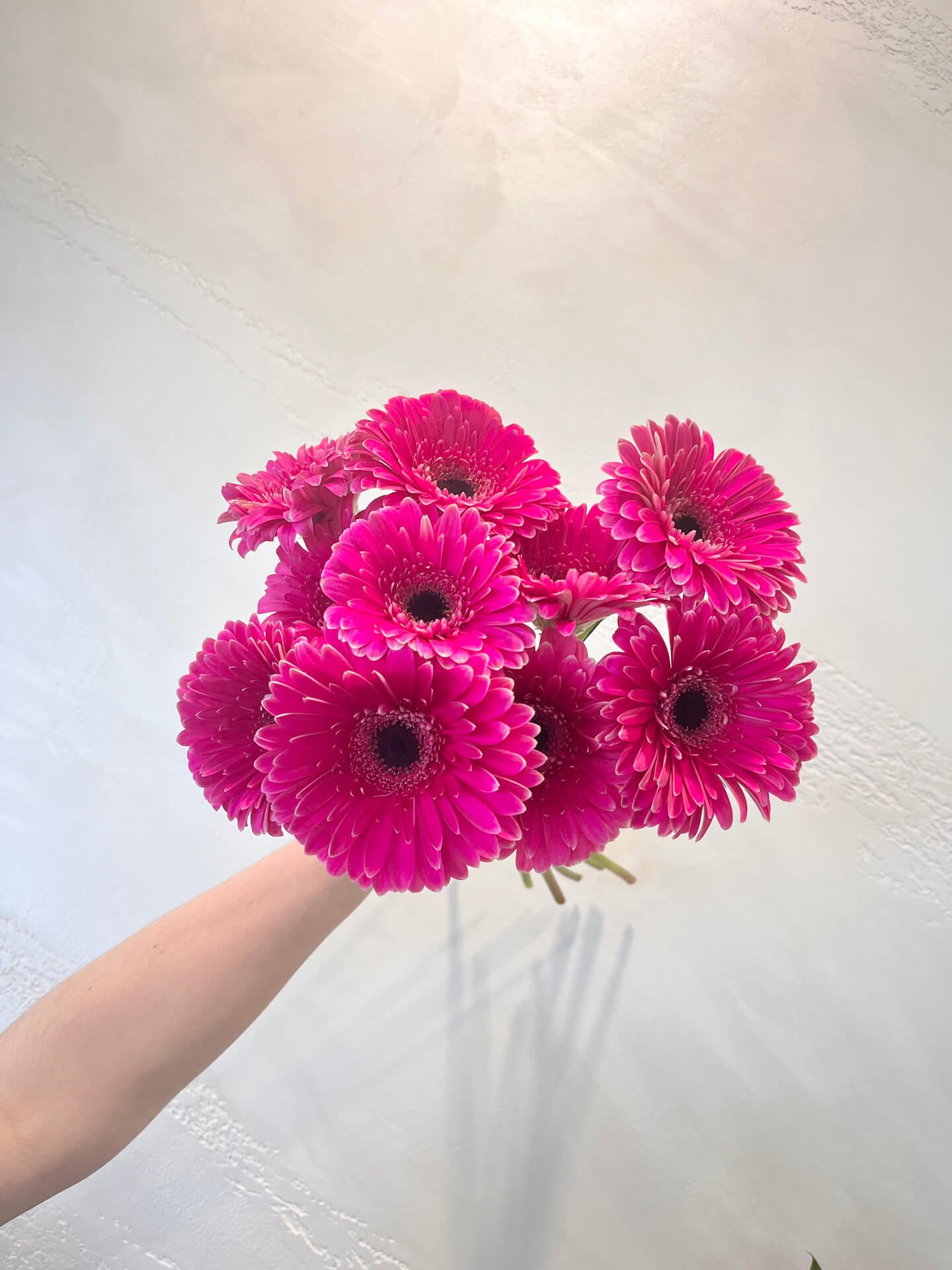Gerbera Bunch