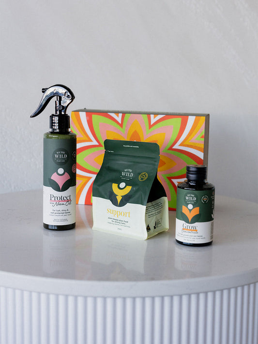 We The Wild Plant Care Gift Pack