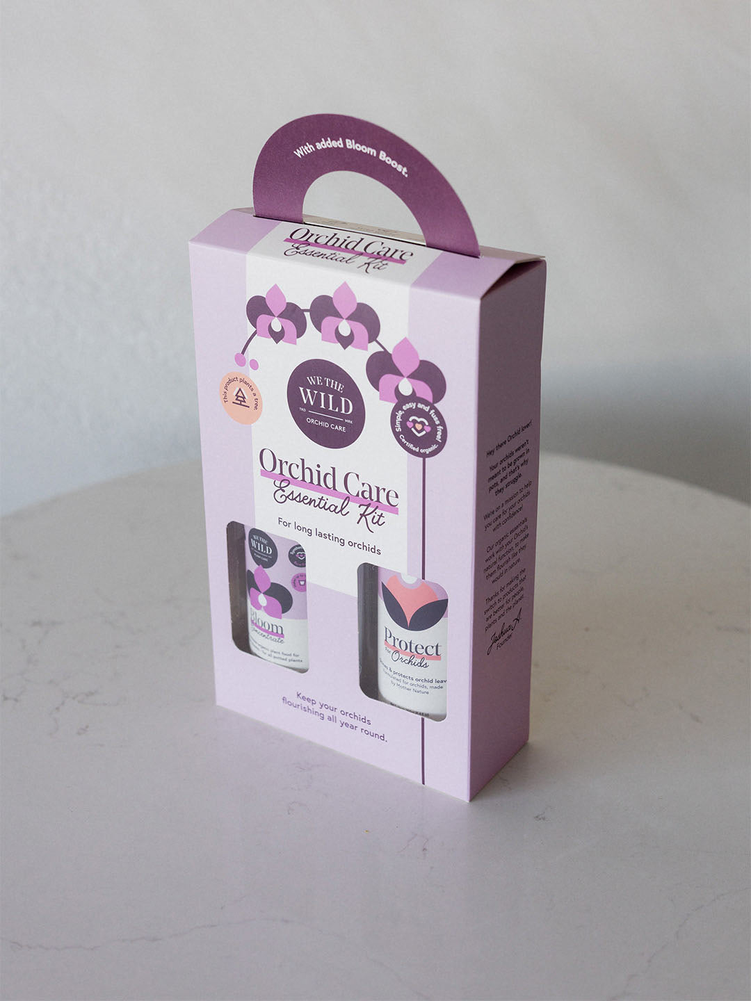 Phalaenopsis Orchid Plant
