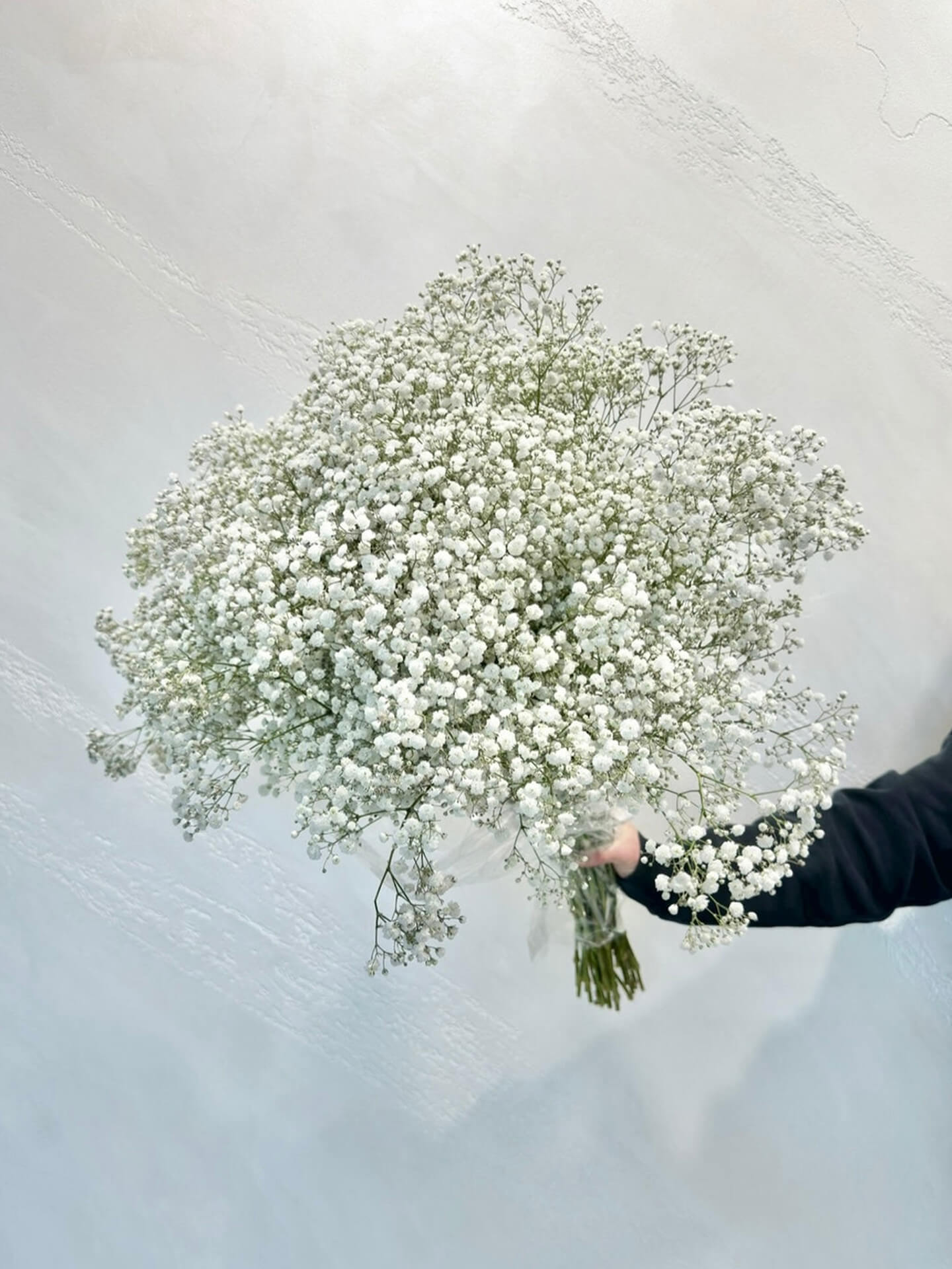 White Gypsopholia bunch