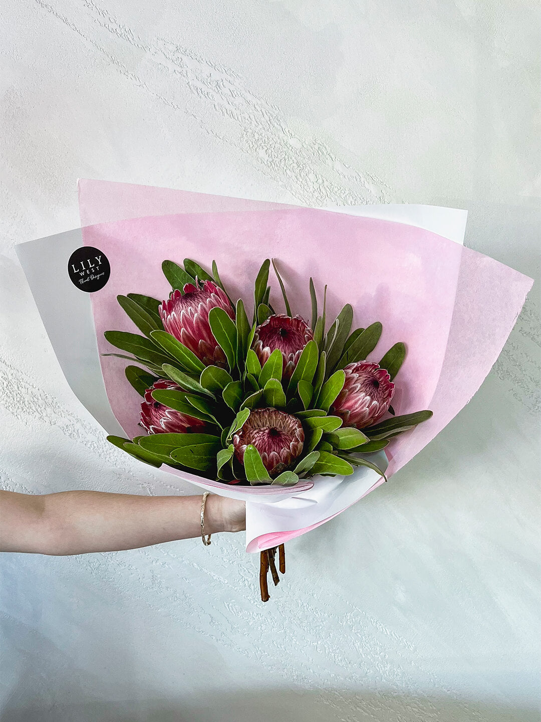 Pink Proteas