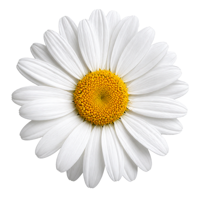Decorative flower
