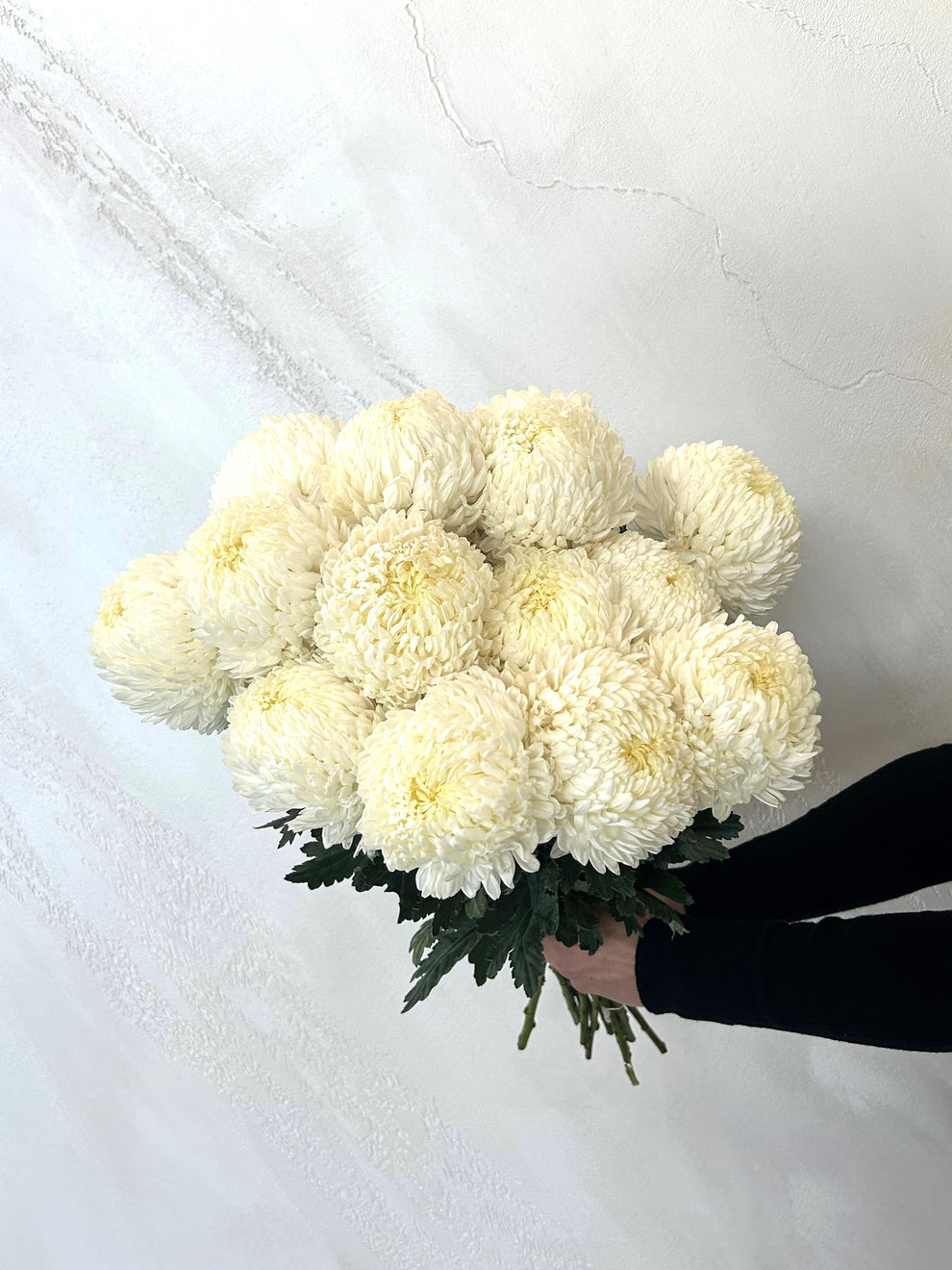 Mums Bunch – Lily West