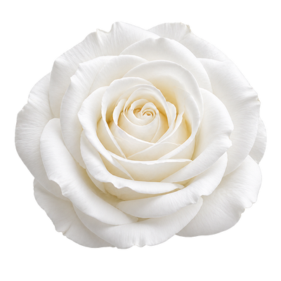 Decorative flower